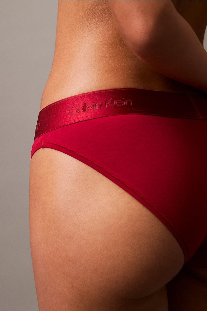 BIKINI 000QF7999E XLL JUNEBERRY